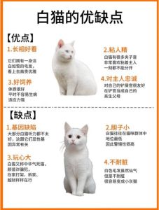 猫咪只活7个多月有什么说法吗，猫咪寿命看品种？养好是关键！