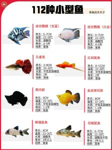 家中观赏鱼养几条，数量属相位置，这样更旺家！