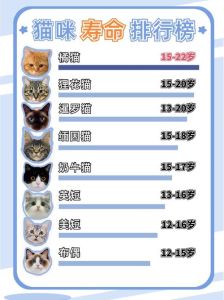 猫咪的寿命一般是几年，猫咪寿命因品种，喂好管住，健康长寿！
