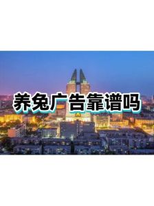 养兔多少可以一年赚20万，乡下养肉兔，想赚大钱不容易