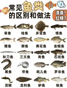 有鱼无口和有口无鱼的区别，钓鱼没口？浮漂信号假？试试调漂！