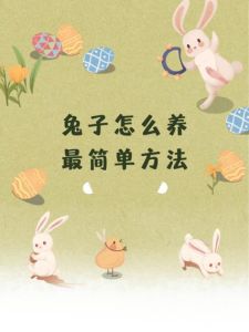 野兔子怎么养，野兔养殖全攻略，好吃又省钱！