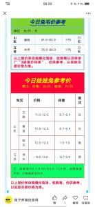 今日肉兔价最新价格表，肉兔价格因地而异，养殖户需灵活应对