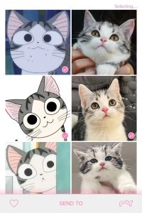 起司猫动画片原型，起司猫不是品种名？美短才是它本名！