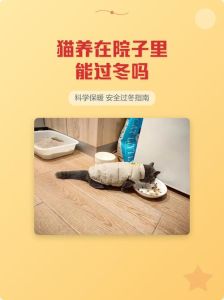 猫咪室外养冬天怎么办，猫咪过冬保暖妙招