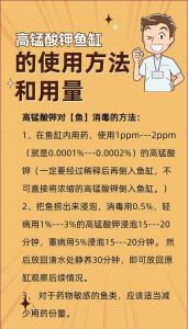 怎么给长时间不用的鱼缸消毒，晒太阳加盐二氧化氯