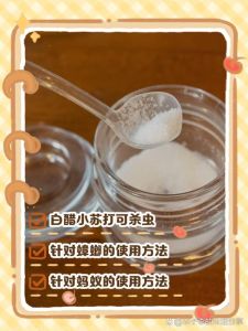用白醋给鸟洗澡能去除螨虫吗，鸟洗澡用白醋能除螨吗？