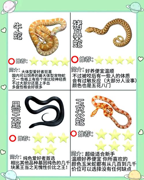 所有野生蛇类都是保护动物,保护与误解 所有野生蛇类都是保护动物,保护与误解