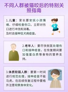 猫咬了多久过安全期，被猫咬伤别犹豫，速洗消毒打疫苗！