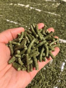 兔粮主要原料，养兔子吃什么？看阶段选对料！