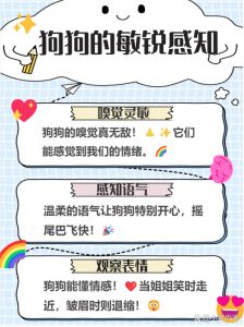 跟女生聊狗狗话题怎么聊下去，夸她狗可爱，聊养狗趣事，快速拉近距离