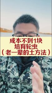 养殖什么昆虫好养又赚钱，老张养蟑螂赚22万，小虫子成致富法宝！