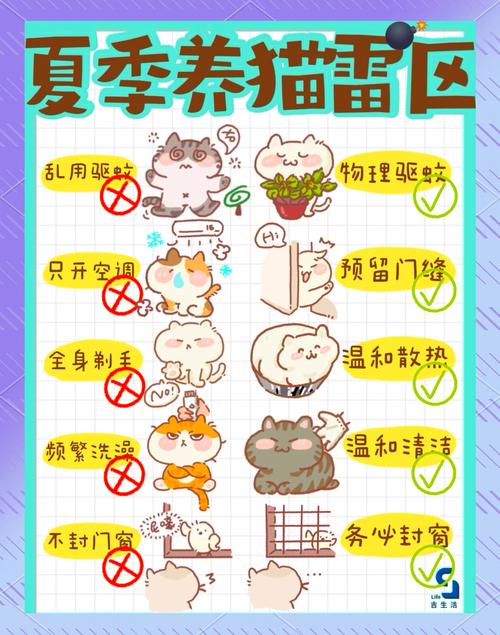 乌龟10分钟能爬多远，乌龟慢是生存智慧，有耐力不怕饿