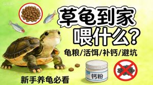 狗狗的一岁是人的几岁，狗狗一岁等于人类15岁，成年犬需科学喂养和训练