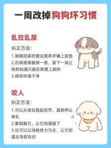 小母狗拉拉尿是怎么回事，狗狗漏尿怎么办？原因及解决方法