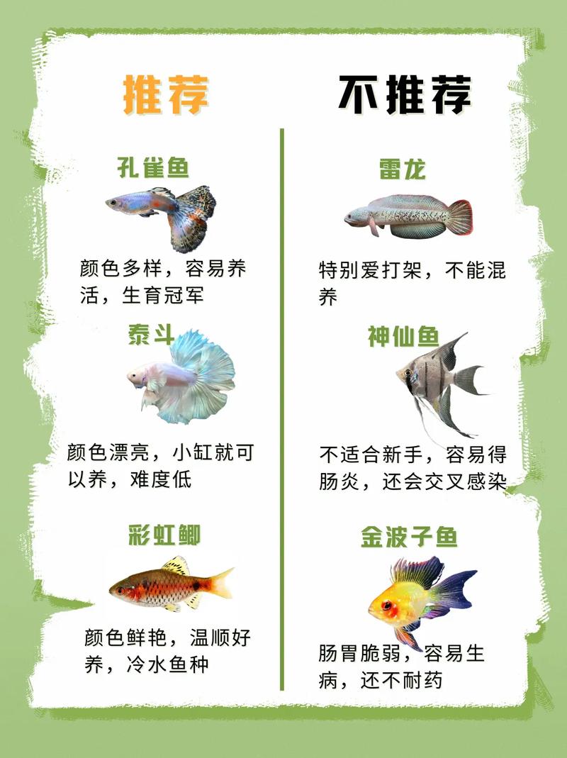 养鱼老手忠告这五种鱼千万别养，选对鱼吃，护生态！