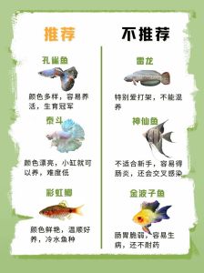养鱼老手忠告这五种鱼千万别养，选对鱼吃，护生态！