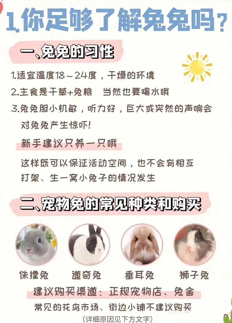 兔子养不熟吗，兔子繁殖快为何不当肉吃？警惕爱动难伺候，成本高不划算