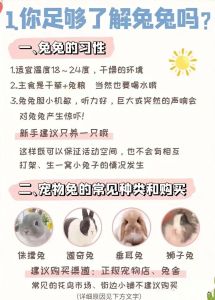 兔子养不熟吗，兔子繁殖快为何不当肉吃？警惕爱动难伺候，成本高不划算