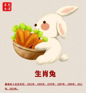 属兔人适合养鸡吗，属兔养鸡可行吗？科学养鸡好处多