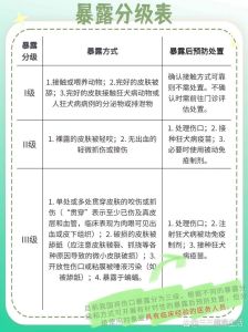 养殖500只野兔要多少本钱，养500野兔成本与收益分析