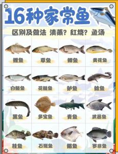 5斤鱼够几个人吃，5斤鱼3-4人吃够不够？酸菜鱼石锅鱼味道好