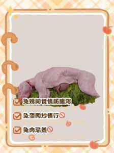 兔子不喝水只吃菜可以吗，养兔子别光喂青菜，水太重要了！