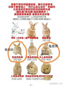 兔子能活几年的寿命，家兔寿命长啥样？5到12年很常见