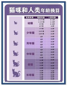 鱼缸清洁工算不算鱼数，清道夫算不算鱼？养鱼观念大不同