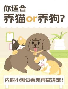 属狗的不能同时喂猫和狗，别信生肖相克！养宠物主要看喜好和爱心