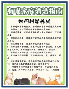 猫养了几天想退怎么办，养猫不是过家家，想退？先想想怎么对猫好！