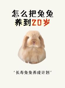 兔子能养几年，兔子寿命5到12年，养好能超19岁，主人心疼更长寿