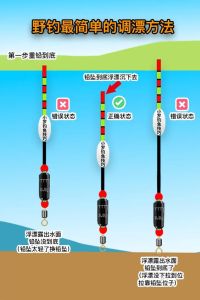 钓鱼上推漂下推漂哪是上哪是下，调漂小窍门，鱼儿闹钩别急！