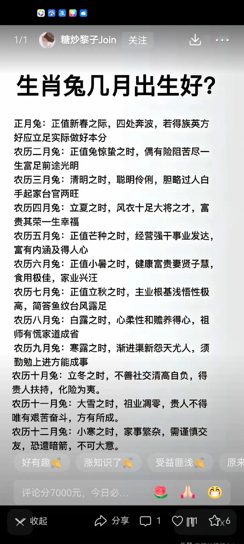 属兔养兔好不好，养兔好心情，看家添好运