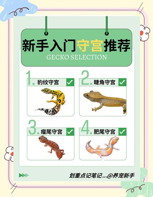 蜥蜴是守宫吗,蜥蜴和守宫的区别 守宫好养宠物 蜥蜴是守宫吗,蜥蜴和守宫的区别 守宫好养宠物