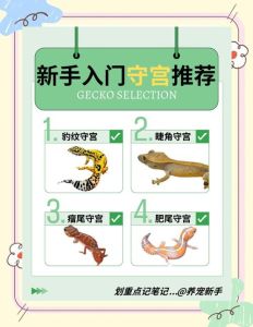 蜥蜴是守宫吗，蜥蜴和守宫的区别 守宫好养宠物