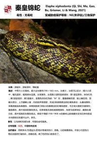 国家重点保护动物名录蛇类，保护蛇儿，守护生态平衡