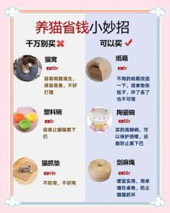 怎么样算长期笼养猫，别老关猫笼子，它会憋坏的