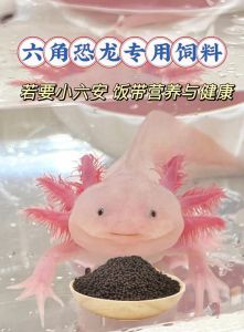 养六角蝾螈犯法吗，六角蝾螈是保护动物，养卖需批准，违法严惩