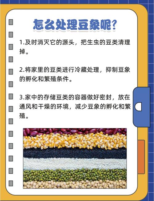 豆象虫最简单的消灭方法,绿豆防豆象,密封晒冻杀虫 豆象虫最简单的消灭方法,绿豆防豆象,密封晒冻杀虫