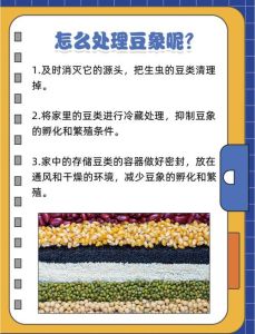 豆象虫最简单的消灭方法，绿豆防豆象，密封晒冻杀虫