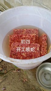 养殖水律蛇算不算违法，水律蛇虽无毒属野生，不能买卖，餐馆违法