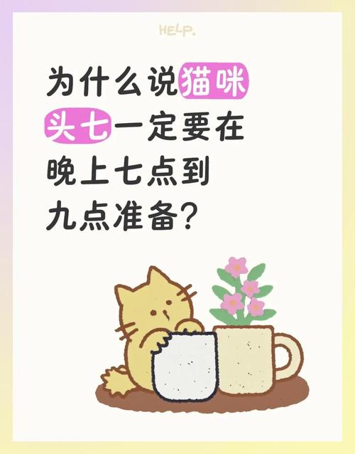 头七晚上来猫是好事还是坏事，好兆头还是坏兆头？