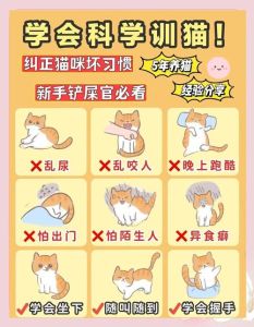 院子里养猫怎么防止跑，防猫器加气味驱赶