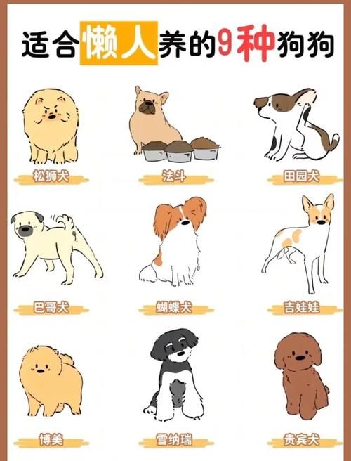 养狗的麻烦都有哪些，养狗虽麻烦，但很暖心，回忆满满！