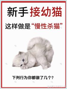 新手养观赏鱼类容易养活大全，新手养鱼不难，孔雀斑马斗鱼鳑鲏易活好看
