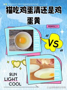 猫吃鸡蛋清还是鸡蛋黄，猫吃蛋黄好，蛋清少吃，煮熟控量