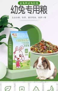 小兔子幼崽吃什么，小兔护理全攻略