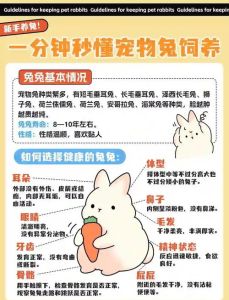 关于小兔子的习性说法正确的是，夜行爱啃咬，需安静环境