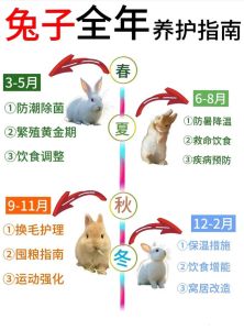 小兔子养多久才生小兔，家兔四个月成年，六个月繁殖，注意别太频繁
